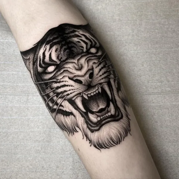 Tiger, 사자자리, 한국 호랑이, 중국 호랑이