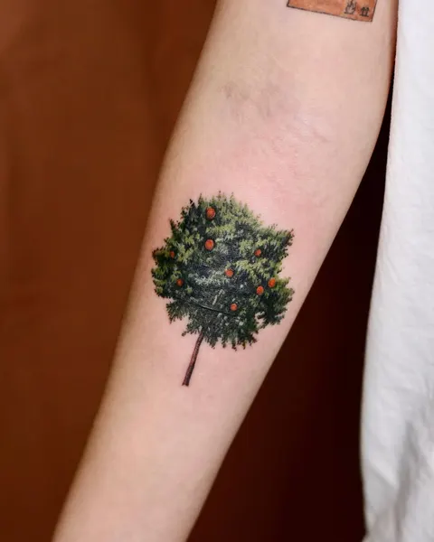 Nature, 나무, 소나무, 숲, Flower