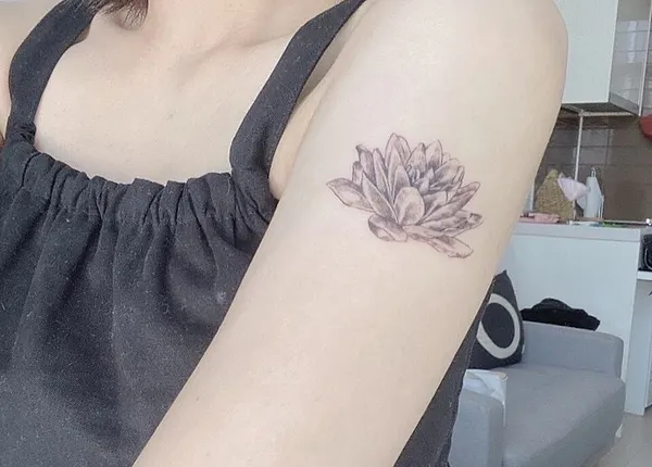 hongzo_tt