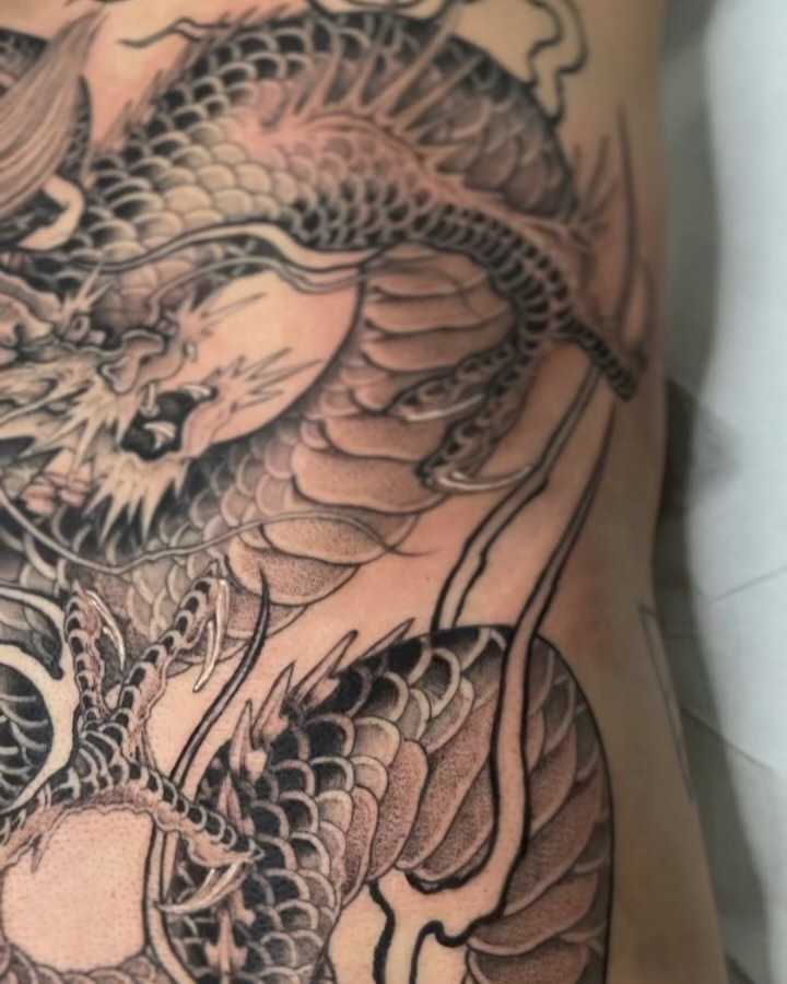 Dragon, 일본 용, 중국 용, 한국 용, 드래곤 라이더