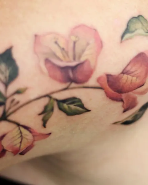 Flower, Rose, Nature