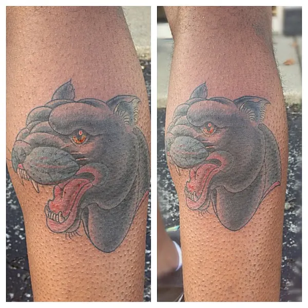 Tiger, Animal