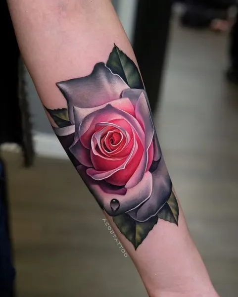 Flower, Rose