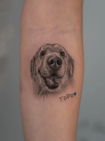Animal, 강아지