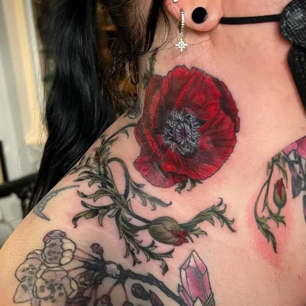 Flower, 양귀비