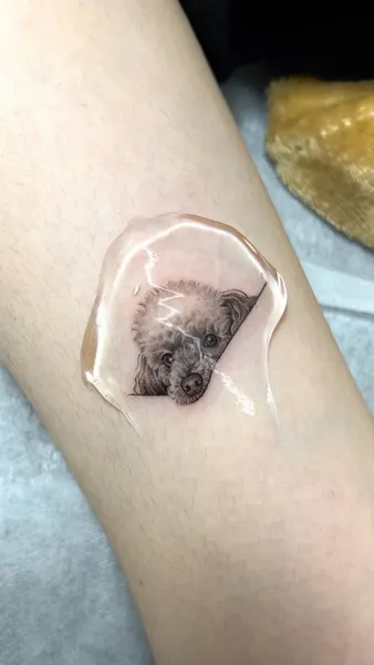 Animal, 고슴도치