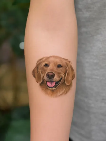 Animal