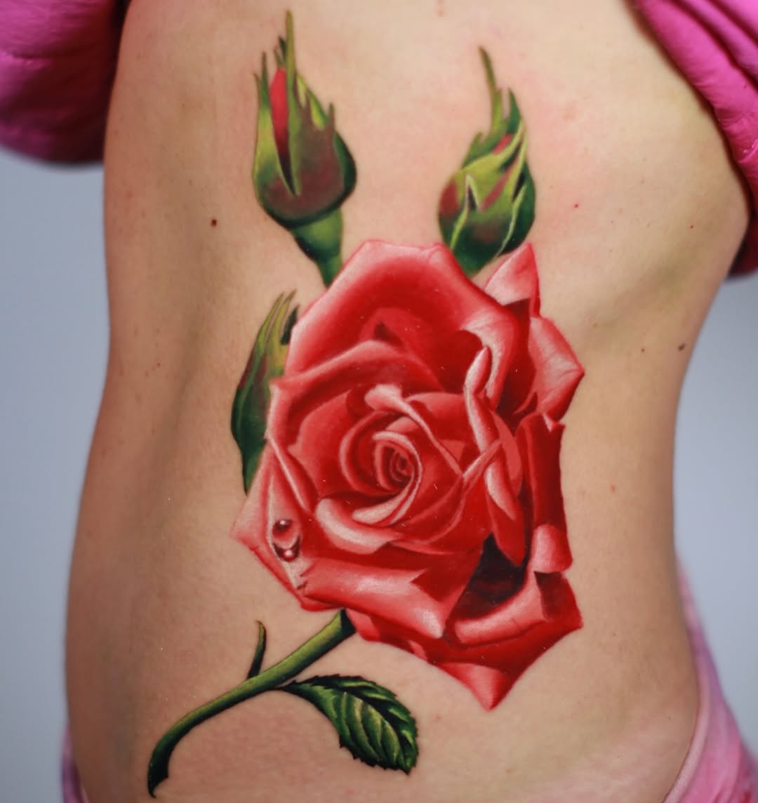 Flower, Rose, Nature