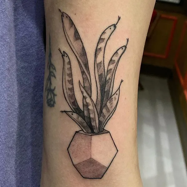 Flower, 선인장
