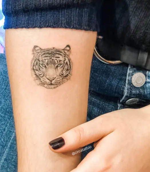 Tiger, 사자자리