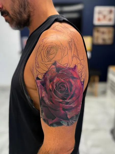 Rose, Nature, Flower