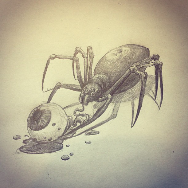 Animal