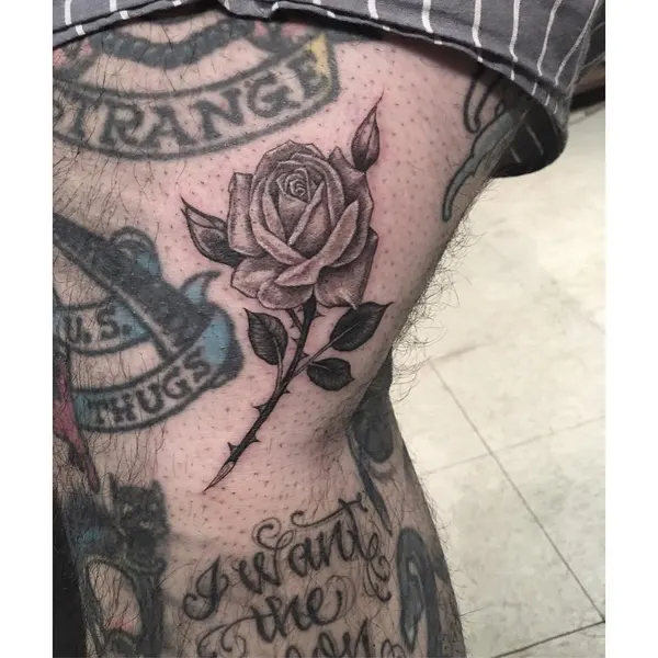 Flower, Rose