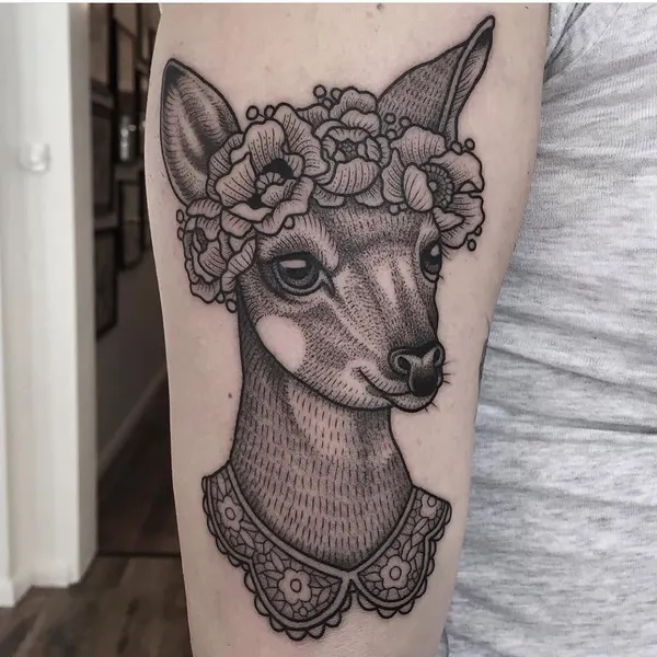 Animal, Nature