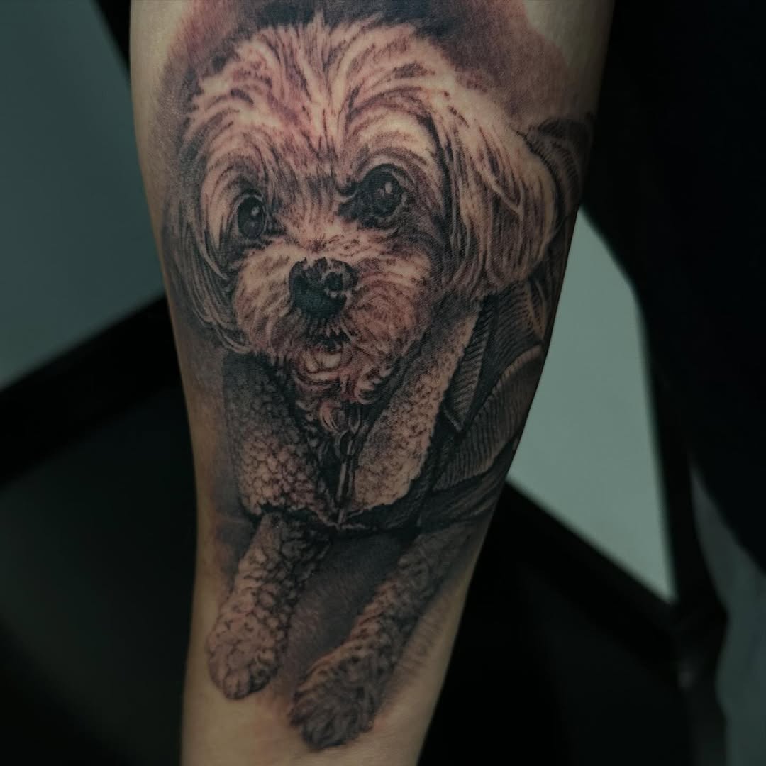 Animal