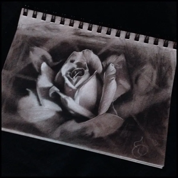 Flower, Rose