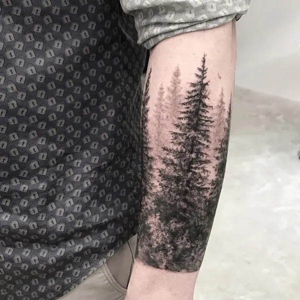 강, Nature, 눈, 숲, 계곡, 폭포, 풍경, 소나무, 나무