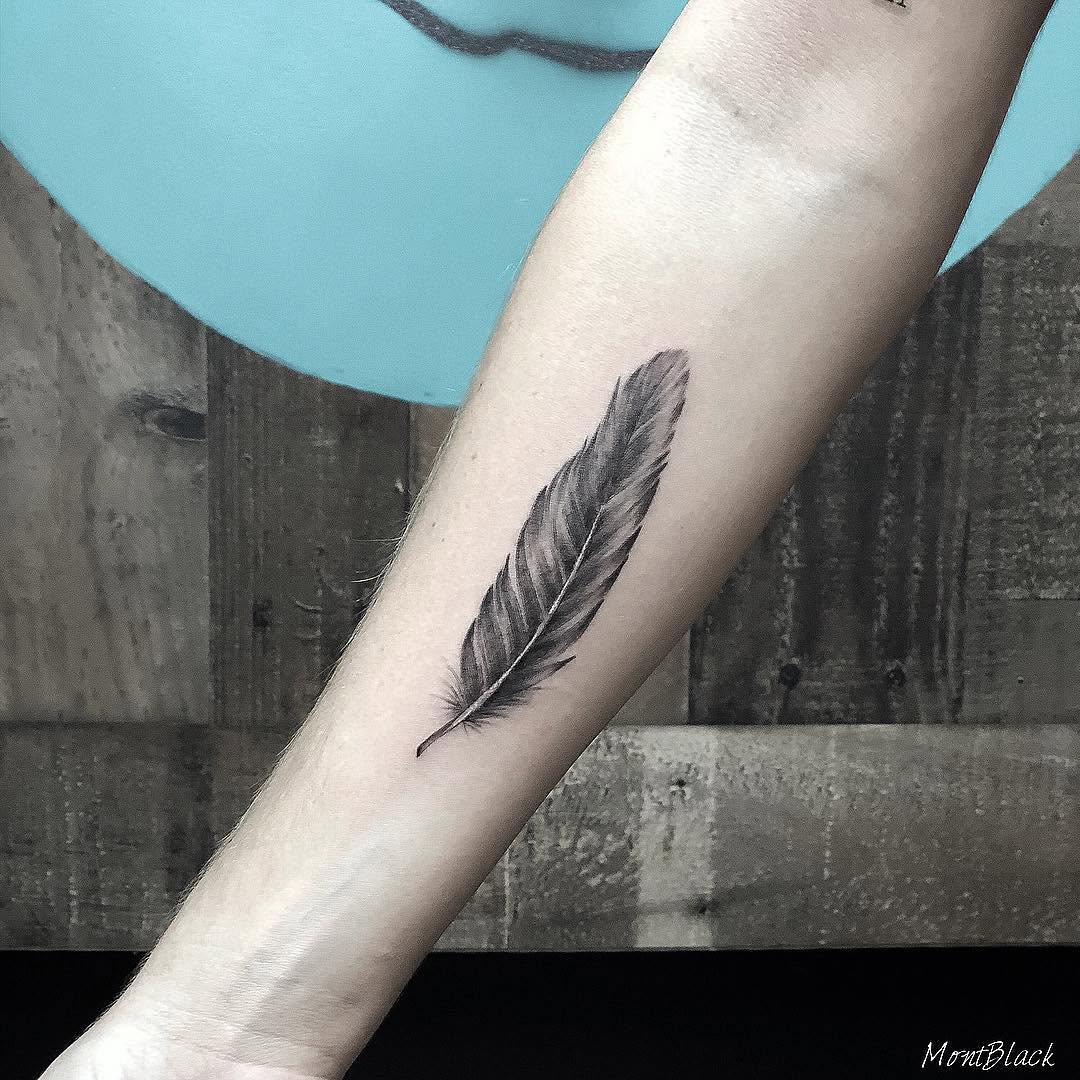 Nature, 창, 깃털