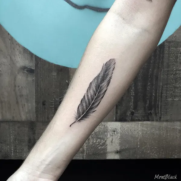 Nature, 창, 깃털
