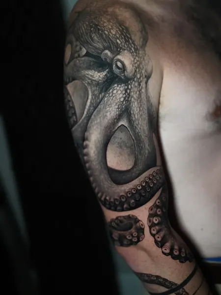 Animal, 문어
