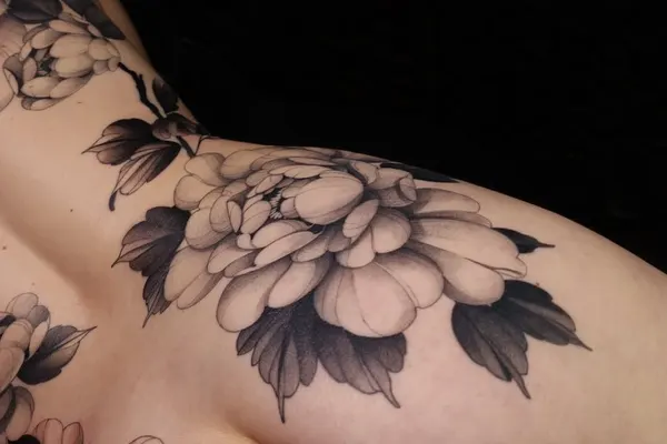 Rose, Flower