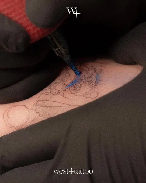 폐, 해부학