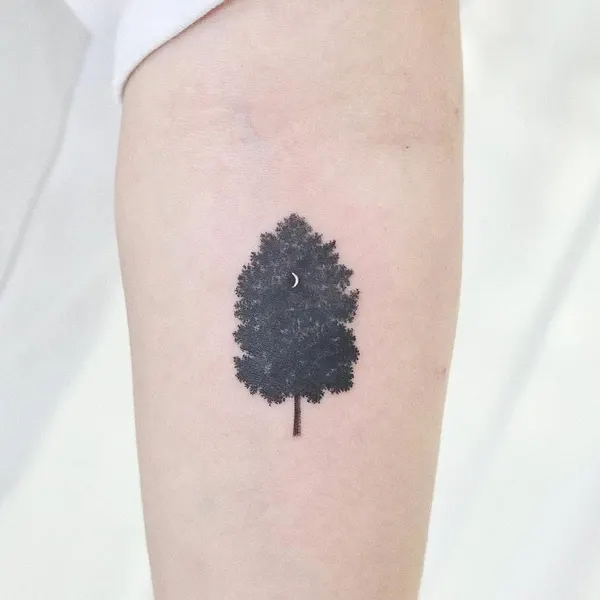 폐, Nature, 잎, 단풍잎, 소나무, 은행잎, 일본 단풍