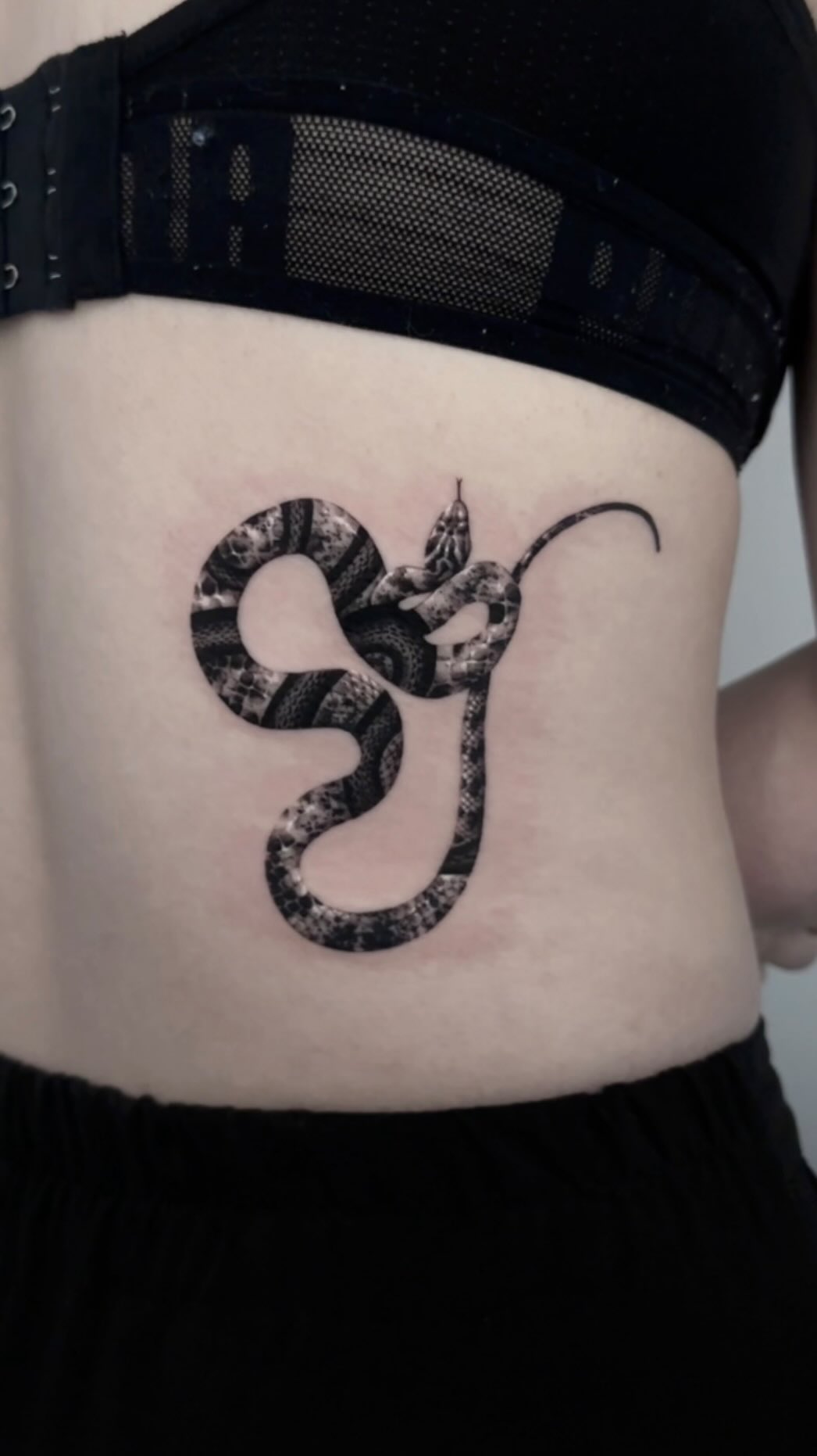전갈자리, Snake