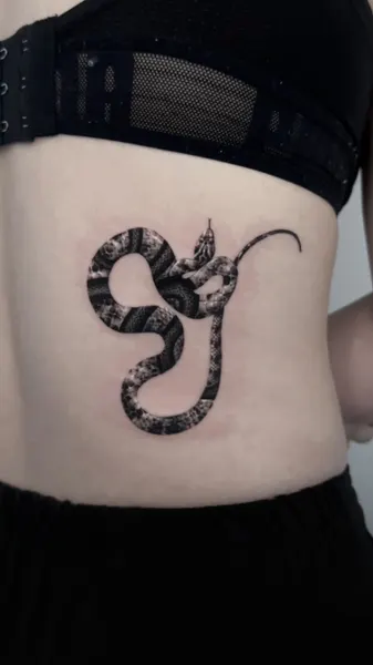 전갈자리, Snake