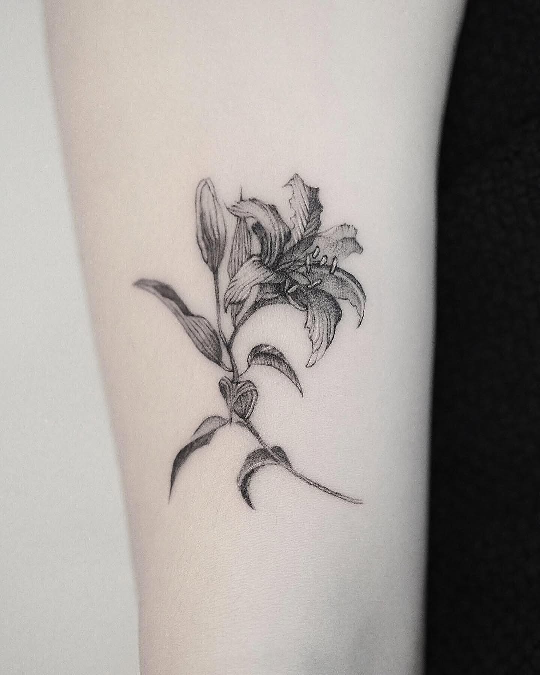 Flower, 아이리스