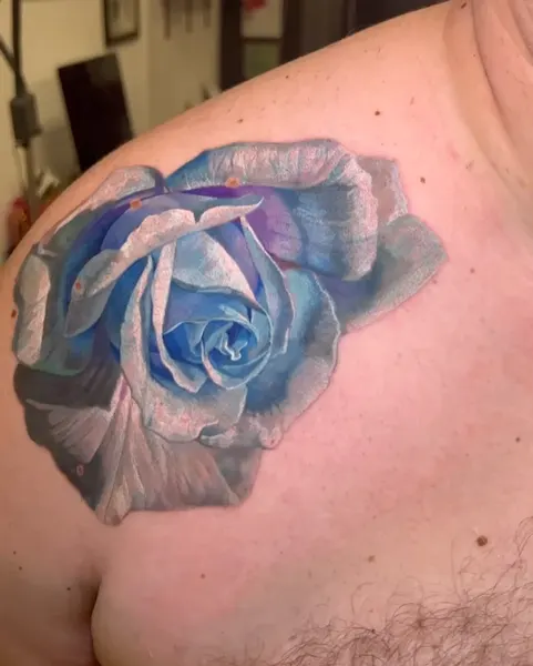 Flower, Rose, Nature