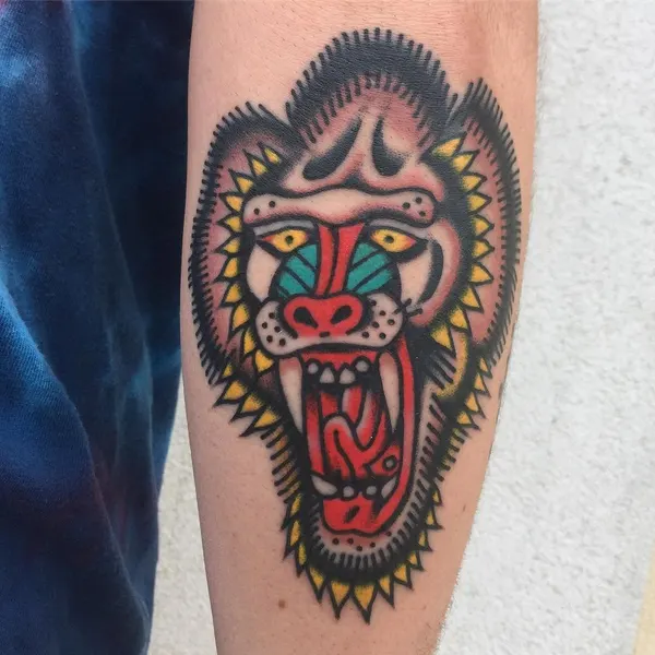 Tiger, Animal