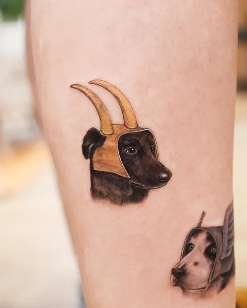 양, Animal, 염소