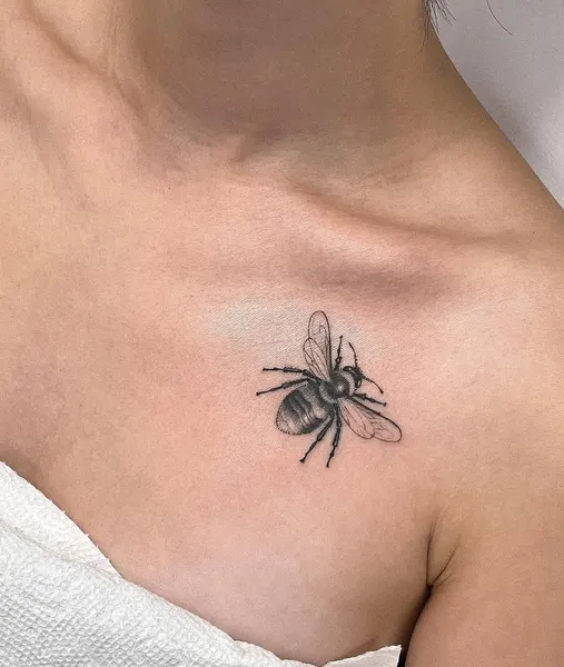 Animal, 거미, 전갈자리
