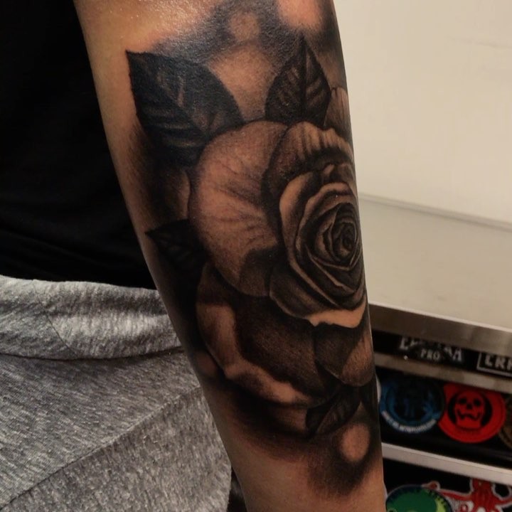 Flower, Rose
