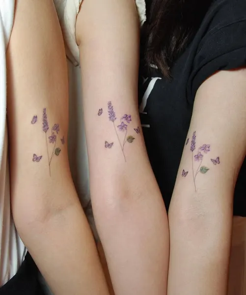 Flower, 라벤더, 포도