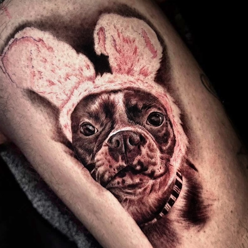 Animal