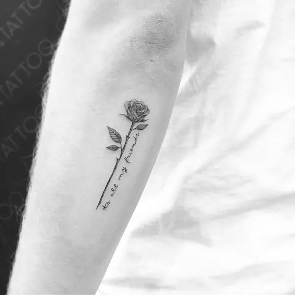 Flower, Rose