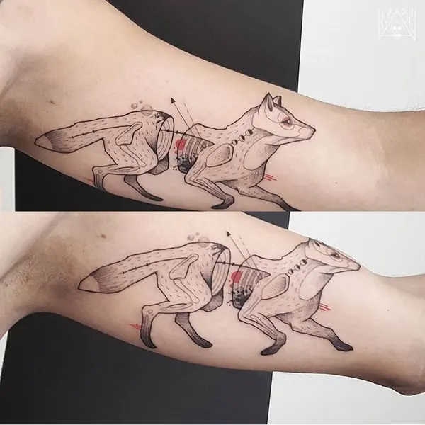 사슴