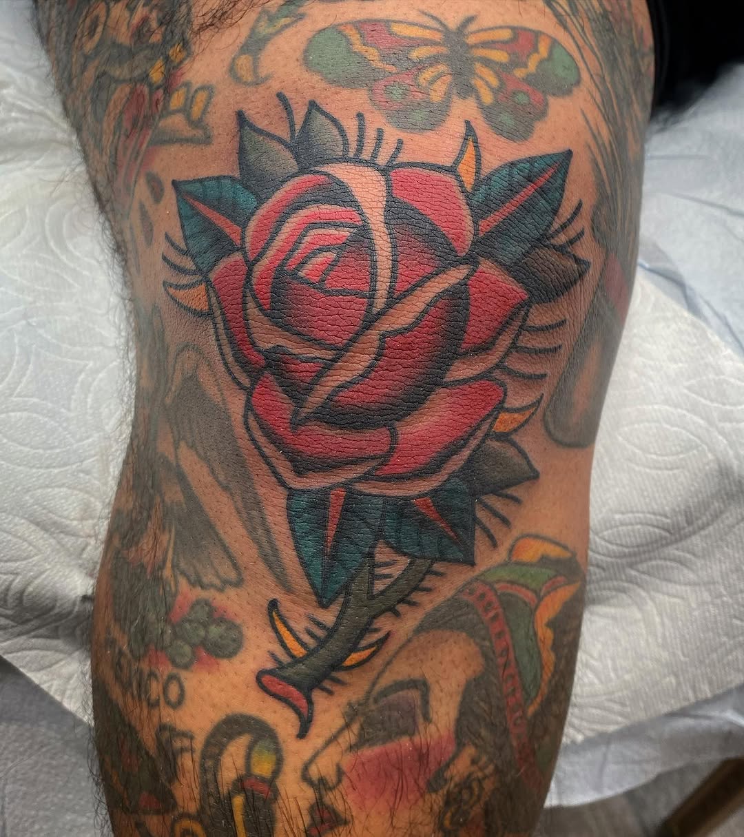 Flower, Rose