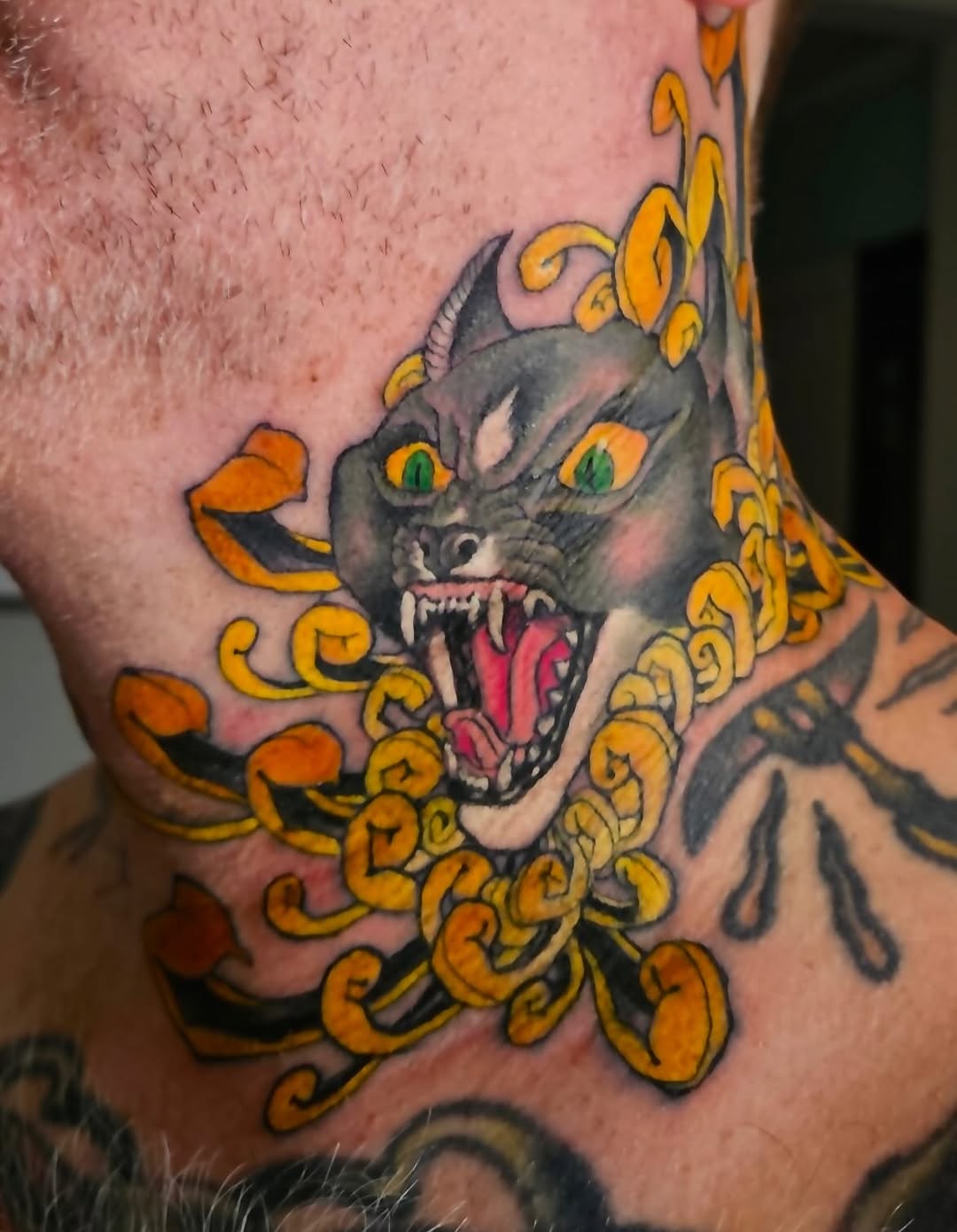 Tiger, Animal