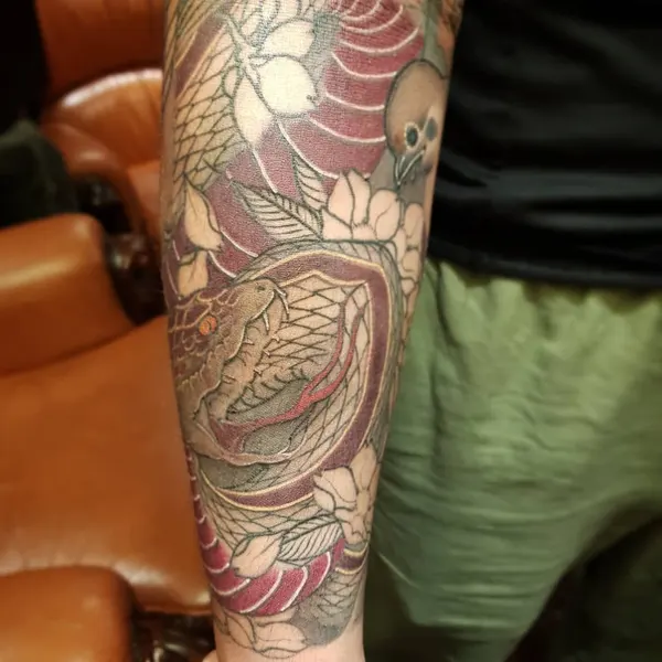 Dragon, Animal