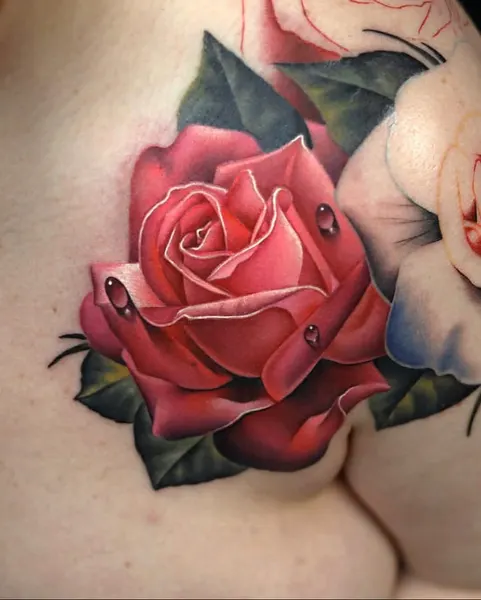 Flower, Rose