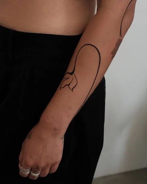 Flower, Rose