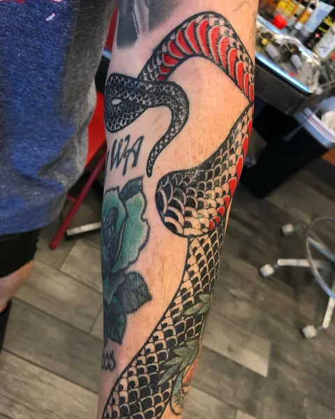 Dragon, 거북이, Snake