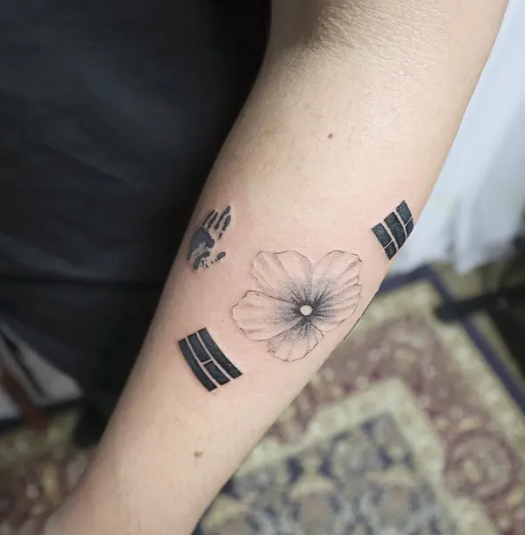 Flower, 부채, 운명, 카메라