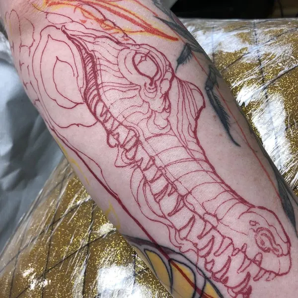 Dragon