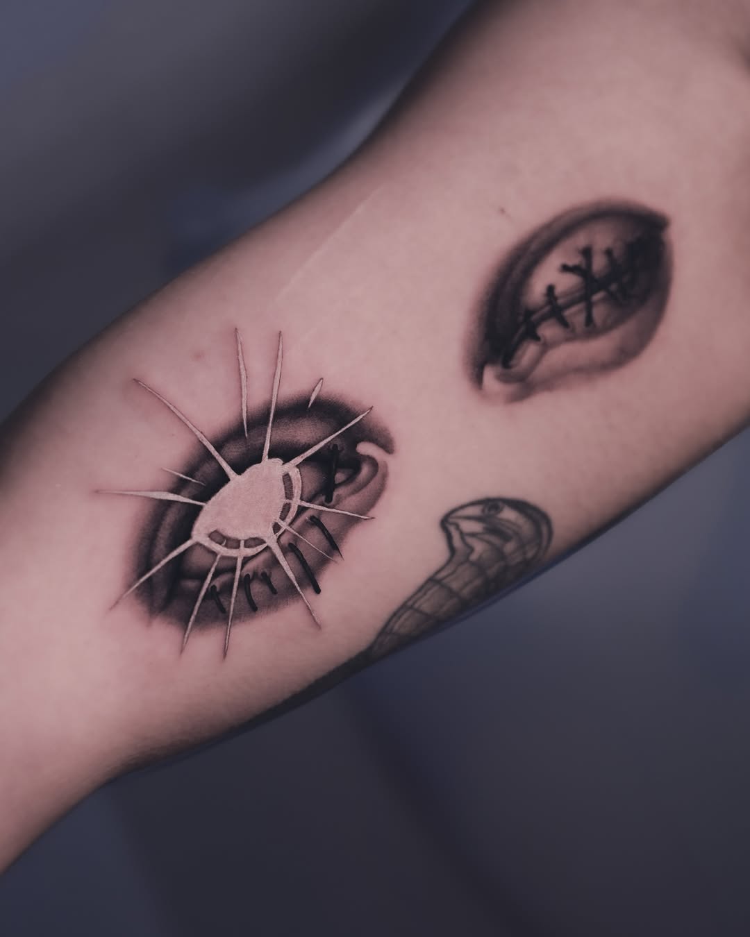 Nature, Geometric
