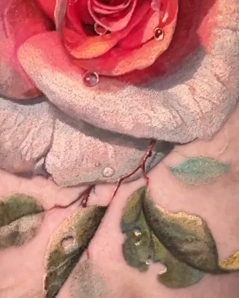Flower, Rose