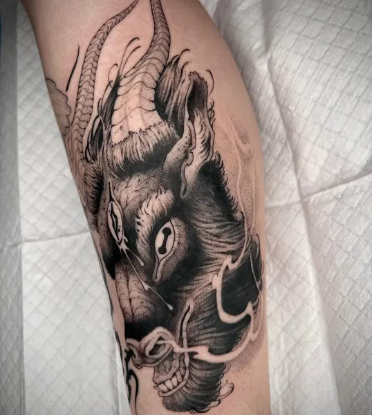 양, Dragon
